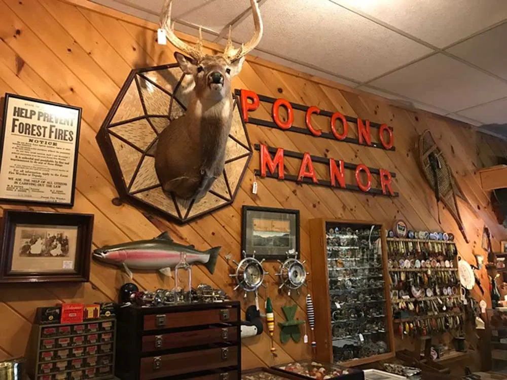hunting and fishing antiques