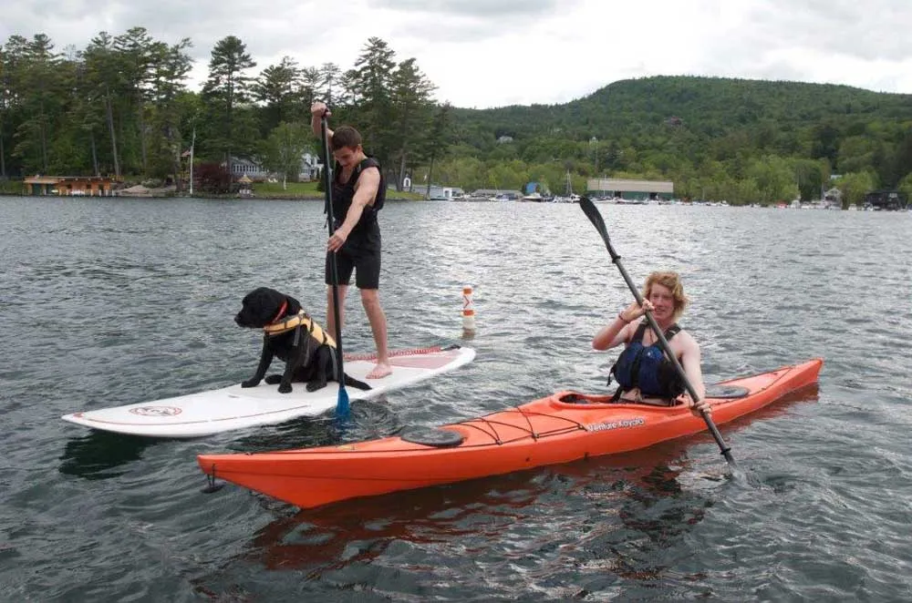 man and black lab on paddle board along side man in kayak