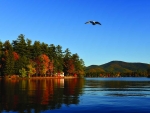 bcc-gallery-09