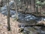 huddle brook