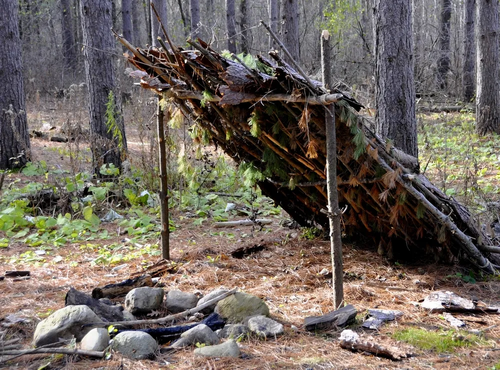 How to survive in the wilderness